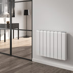 Reina Aron radiator room setting