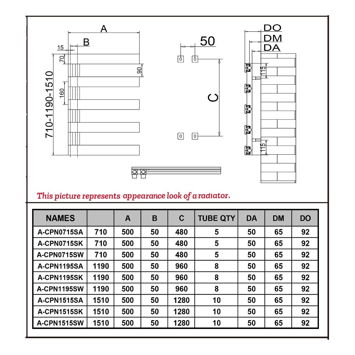 Reina Carpena technical drawing