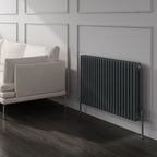 Reina Colona Horizontal radiator room setting
