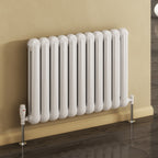 Reina Coneva Horizontal radiator room setting