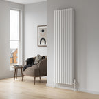 Reina Neva Vertical radiator room setting