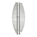 Reina Teano 1300x600 Chrome