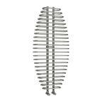 Reina Teano 1300x600 Chrome
